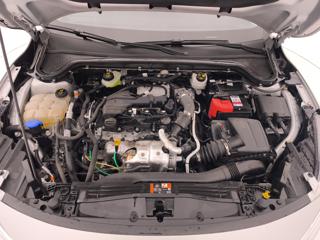 FORD Focus usata, con Supporto lombare