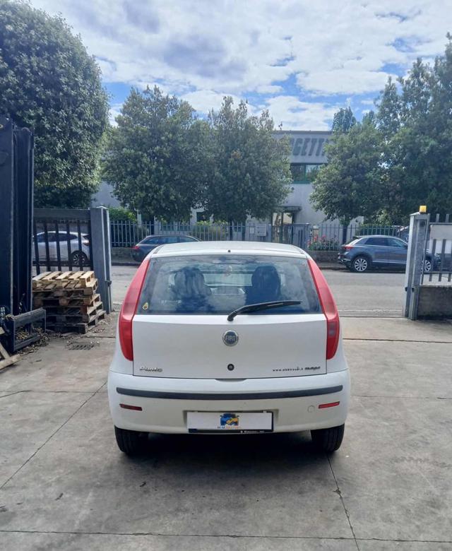 FIAT Punto usata 1