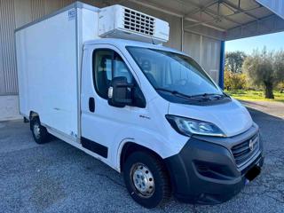 FIAT Ducato 35 2.3 MJT 140CV CELLA FRIGO