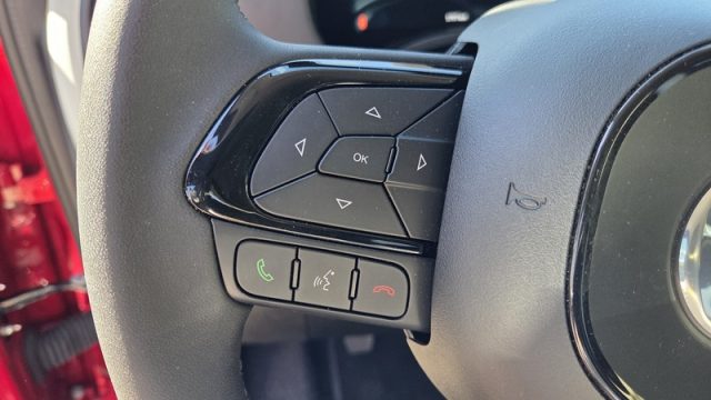 FIAT Panda usata, con Cruise Control