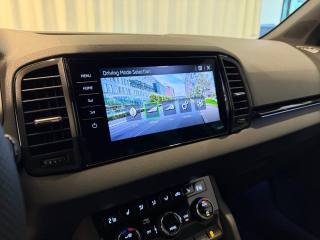 SKODA Karoq usata, con Cruise Control