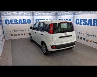 FIAT Pandina usata, con Alzacristalli elettrici