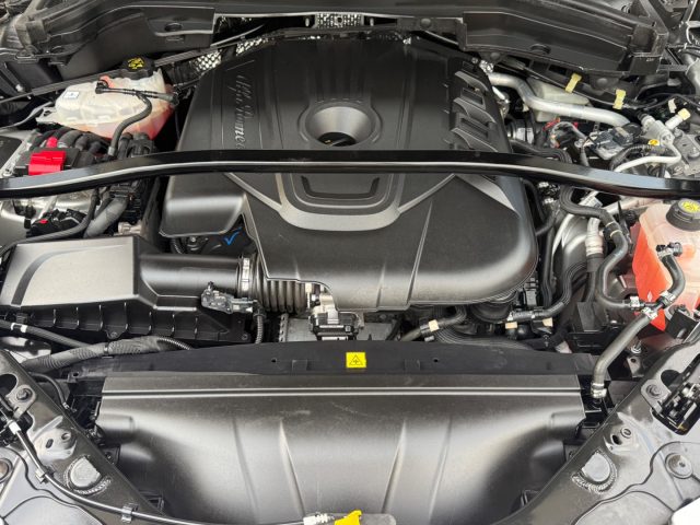 ALFA ROMEO Stelvio usata, con Interni in pelle