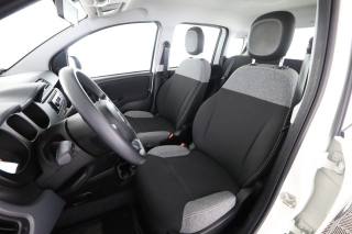 FIAT Panda usata 2