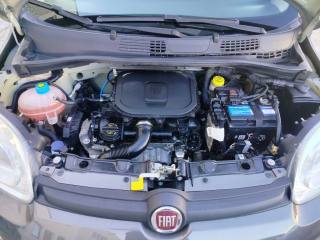FIAT Panda usata 19