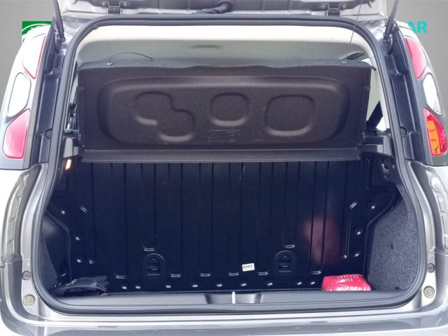 FIAT Panda Cross usata, con Chiusura centralizzata