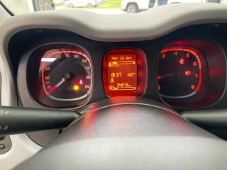 FIAT Panda Cross usata, con Volante multifunzione