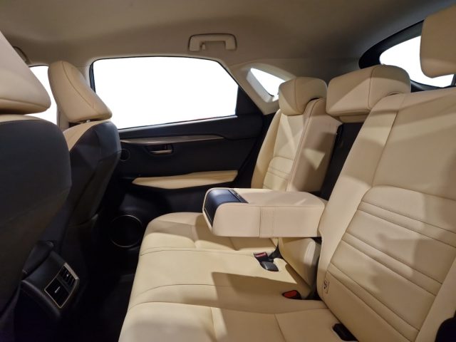 LEXUS NX 300 usata, con Fendinebbia