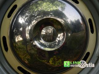 FIAT 1100 usata 46