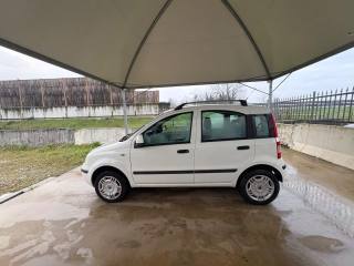 FIAT Panda usata 17
