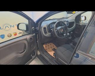 FIAT New Panda usata, con Controllo automatico clima