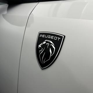 PEUGEOT 3008 usata, con Sensori di parcheggio posteriori