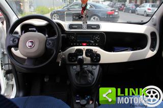 FIAT Panda usata 22