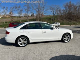AUDI A4 usata, con Fendinebbia