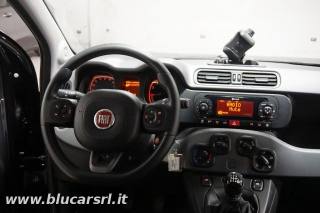 FIAT Panda usata, con Climatizzatore