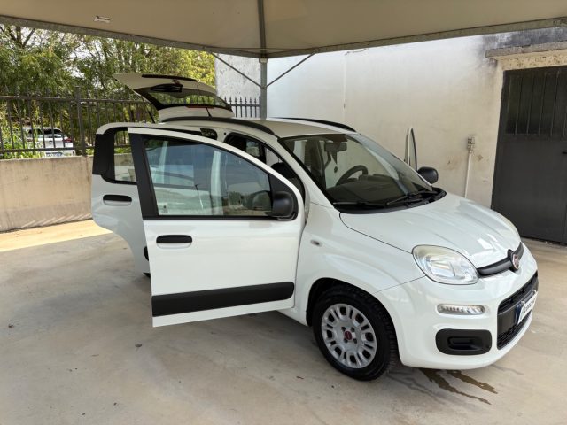 FIAT Panda usata 48