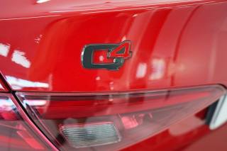 ALFA ROMEO Giulia usata, con Bracciolo