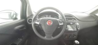 FIAT Punto usata 38