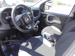 FIAT Panda usata 16