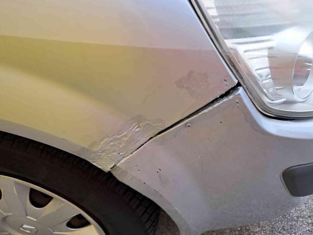 RENAULT Scenic usata 25