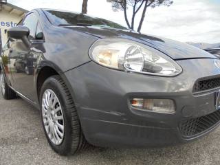 FIAT Punto usata 17