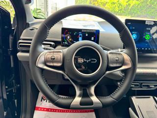 BYD Dolphin Surf usata, con Cruise Control