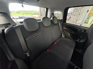 FIAT Panda usata, con Cruise Control