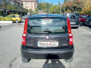 FIAT Panda usata, con Airbag Passeggero