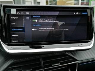 PEUGEOT 208 usata, con Cruise Control