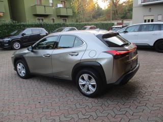 LEXUS UX 250h usata, con Airbag Passeggero
