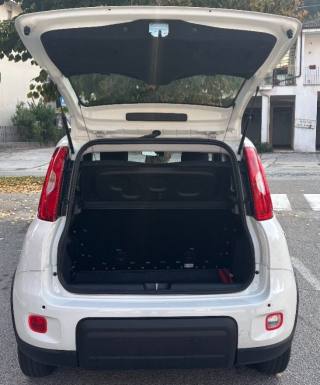 FIAT Panda usata, con Antifurto