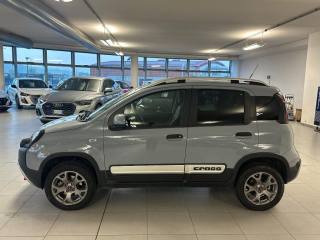 FIAT Panda usata, con Alzacristalli elettrici