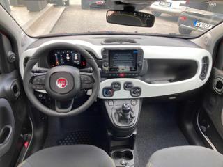 FIAT Panda usata, con Controllo trazione