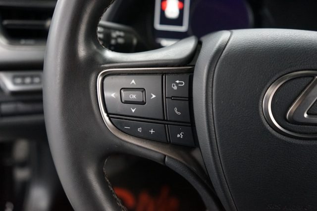 LEXUS UX 250h usata 34