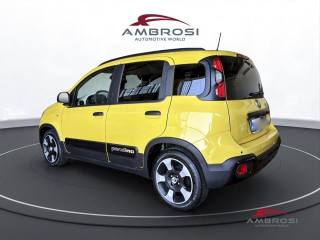 FIAT Panda usata 3