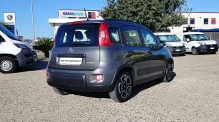 FIAT Panda usata, con Airbag Passeggero