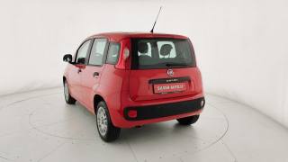 FIAT Panda usata 33