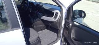 FIAT Panda Cross usata, con Servosterzo