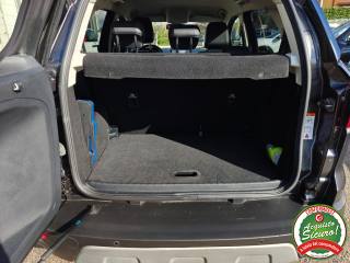 FORD EcoSport usata, con Interni in pelle
