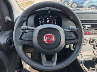FIAT Panda usata 16