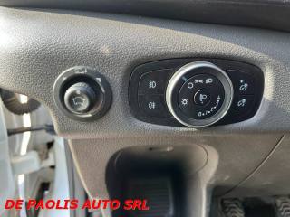 FORD Transit usata, con Cronologia tagliandi