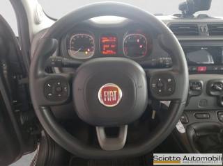 FIAT Panda usata, con Immobilizzatore elettronico