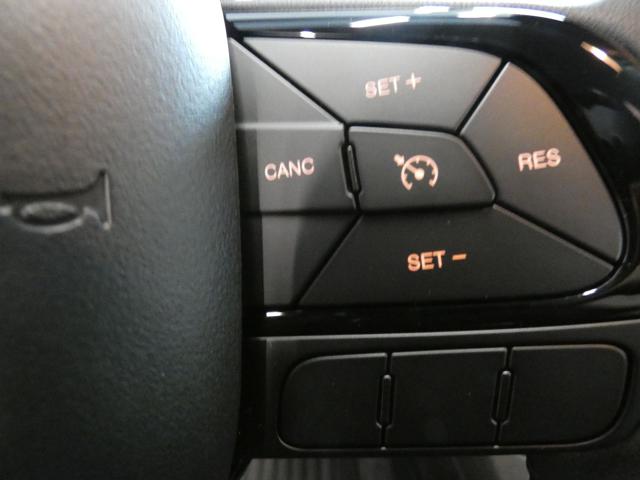 FIAT Pandina usata, con Fendinebbia