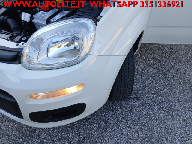 FIAT Panda usata 22