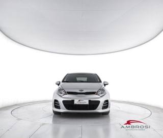 KIA Rio usata 4