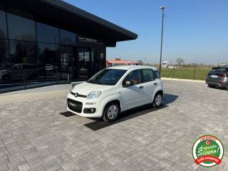 FIAT Panda usata, con Airbag