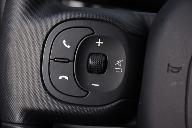 FIAT Panda usata, con Volante multifunzione
