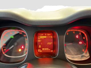 FIAT Panda usata 13