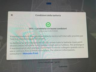 TESLA Model 3 usata 53