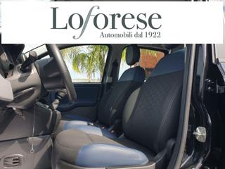 FIAT Panda Cross usata, con Chiusura centralizzata
